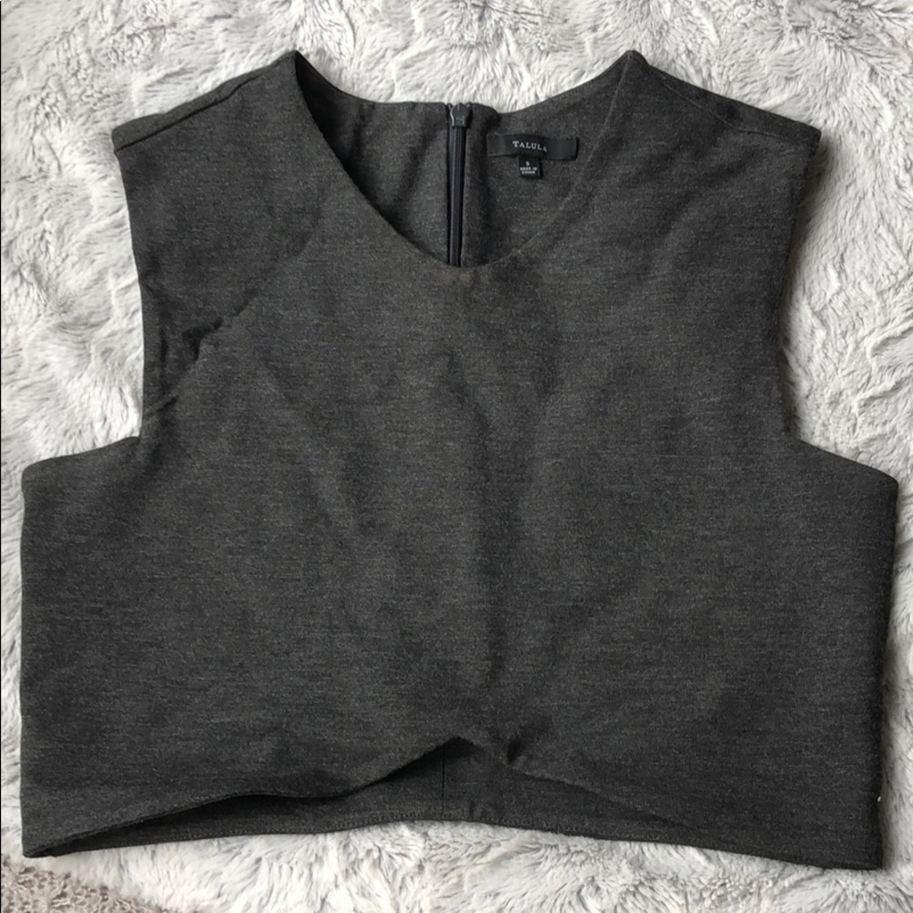 ARITZIA crop top 👚